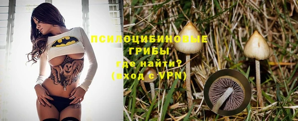 прущая мука Козловка