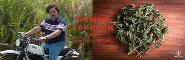 прущая мука Козловка