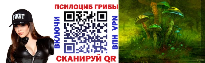 Купить закладки  Гаврилов Посад  Галлюциногенные грибы Magic Shrooms 